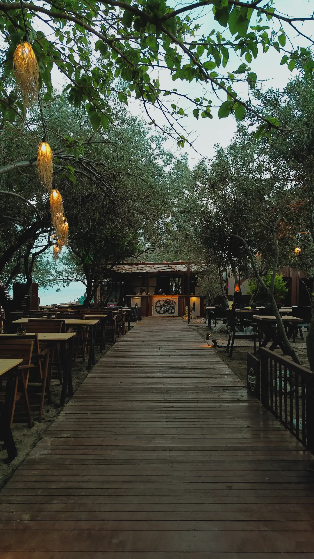 Assos Elysia Camping